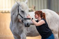 Manualtherapie und chiropraktische Techniken